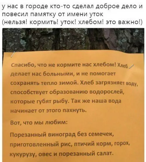 Смешная картинка №259805