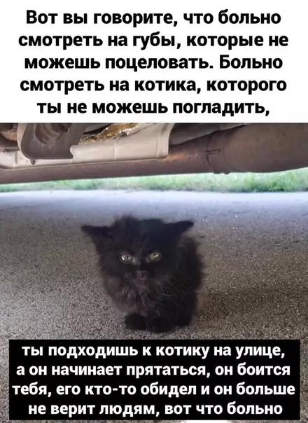 Смешная картинка №466290 В самое сердце