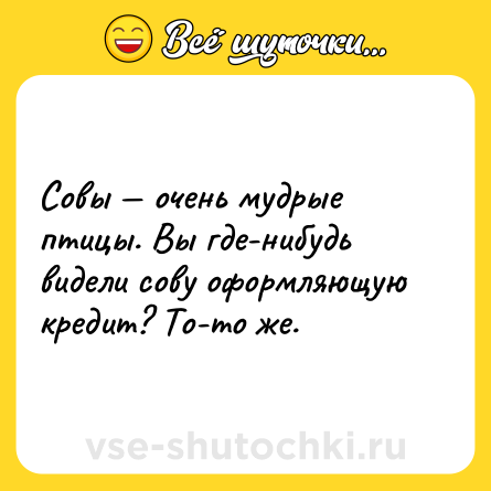 Шутка: Совы — очень мудрые птицы. Вы где-нибудь видели сову оформляющую кредит? То-то же.