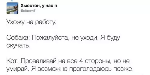 Смешная картинка №309887 животные