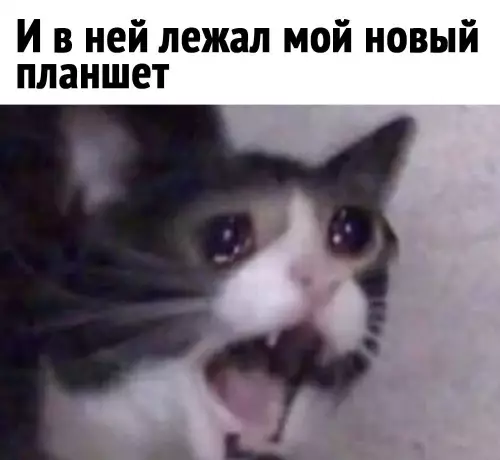 продолжение Смешная картинка №682911 Это самый печальный пост за сегодня