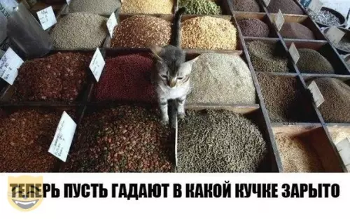 Смешная картинка №351540 #приколы #картинки #мемы ?