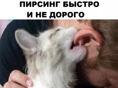 Смешная картинка №310676