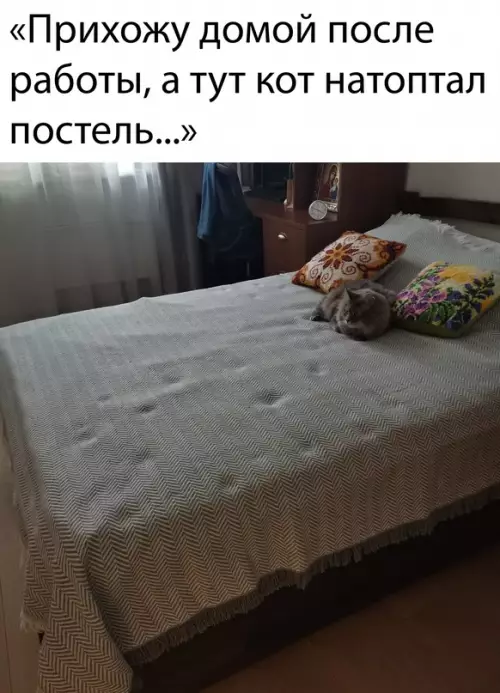 Смешная картинка №645967 Новости, которые мы заслужили