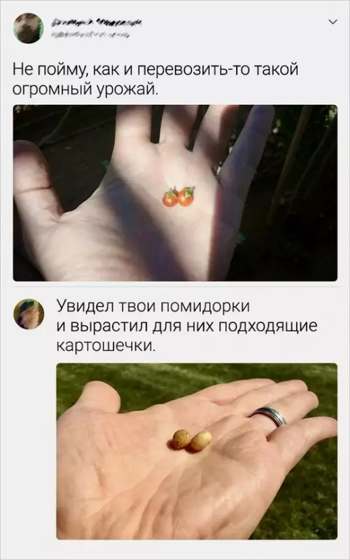 Смешная картинка №735375 Урожай
