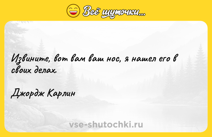 Цитата: Извините, вот вам ваш нос, я нашел его в своих делах.Джордж Карлин