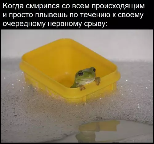 Смешная картинка №788274