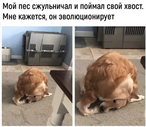 Смешная картинка №293805