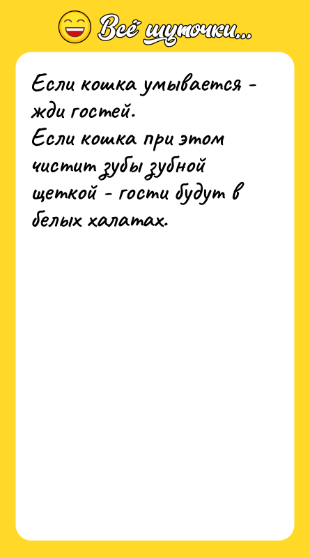 Если кошка умывается - жди гостей. Если кошка при