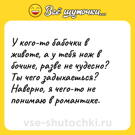 Шутка: У кого-то бабочки в животе, а у тебя нож в бочине, разве не чудесно? Ты чего задыхаешься? Наверно, я чего-то не понимаю в романтике.