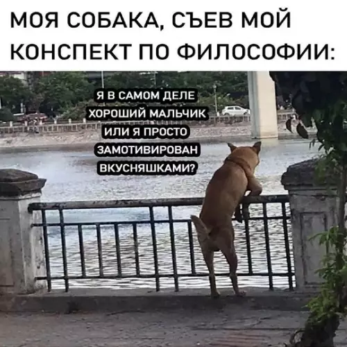 Смешная картинка №762239