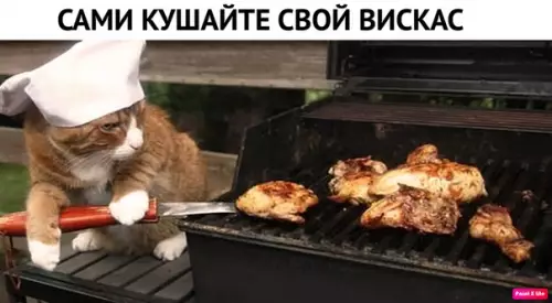 Смешная картинка №352476