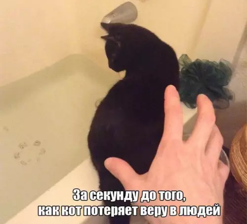 Смешная картинка №222126