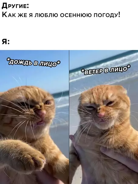 Смешная картинка №531228