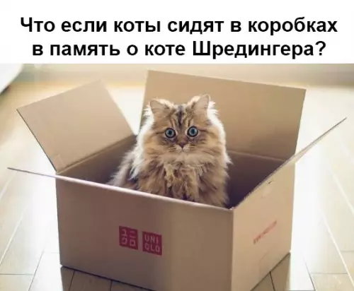 Смешная картинка №361718