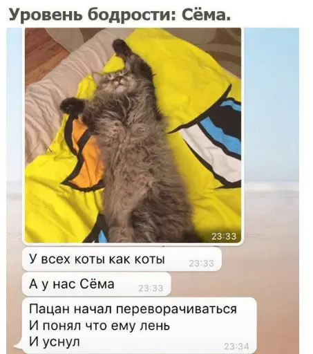 Смешная картинка №215121