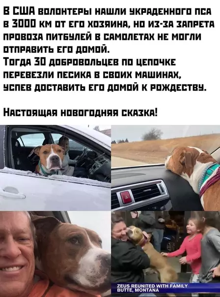 Смешная картинка №432342 Добра пост
