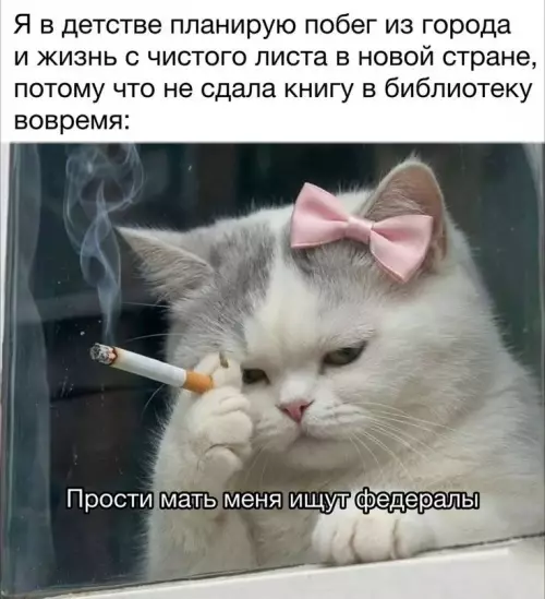 Когда задолжала библиотеке 📚😼 - Я в детстве планирую побег из города и жизнь с