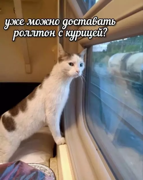 Смешная картинка №815368