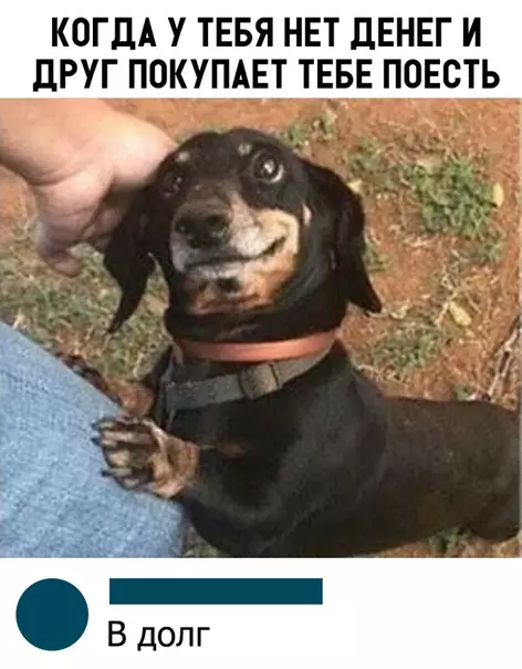 Смешная картинка №311362