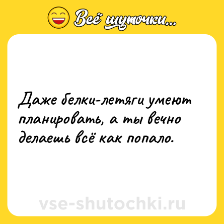 Шутка: Даже белки-летяги умеют планировать, а ты вечно делаешь всё как попало.