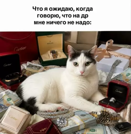 Когда сказал, что тебе ничего не нужно 😼💎 - Что я ожидаю, когда говорю, что на др мне ничего