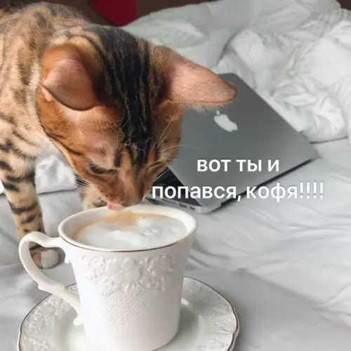 продолжение Смешная картинка №764749