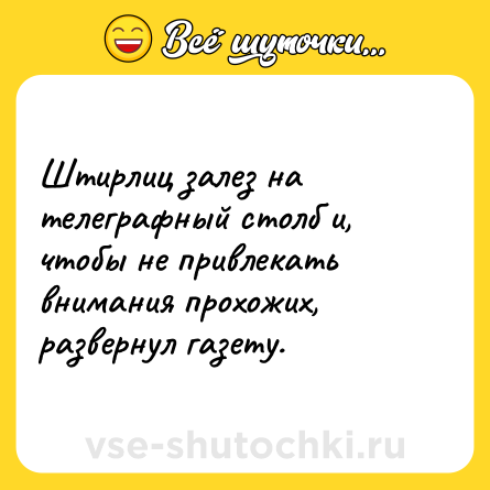 Шутка: Штирлиц залез на телеграфный столб и, чтобы не привлекать внимания прохожих, развернул газету.