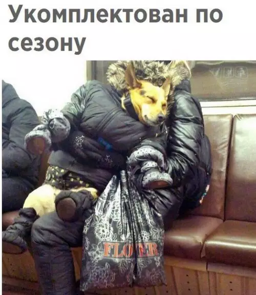 Смешная картинка №230465