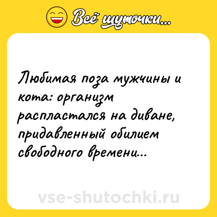 Шутка: Любимая поза мужчины и кота: организм распластался на диване, придавленный обилием свободного времени…