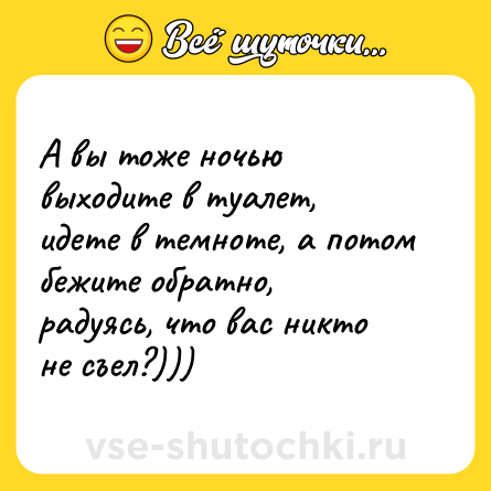Шутка: А вы тоже ночью выходите в туалет, идете в темноте, а потом бежите обратно, радуясь, что вас никто не съел?)))
