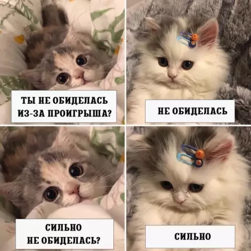 Смешная картинка №569561 Тoчнo нe обидeлась.