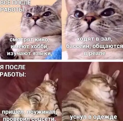 Смешная картинка №537243
