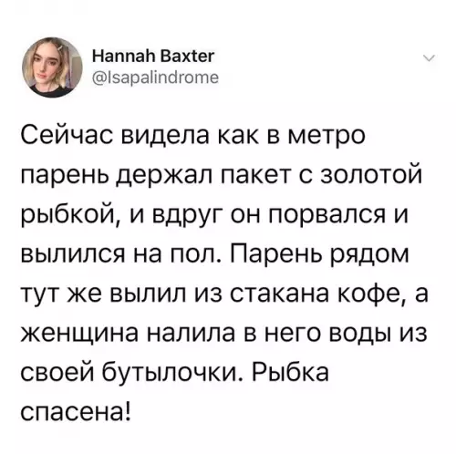 Смешная картинка №351799 Душераздиpающая истopия!