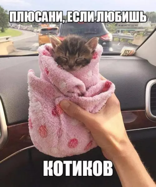 Смешная картинка №217923