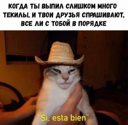 Смешная картинка №231581
