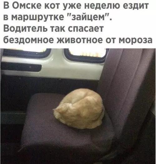 Смешная картинка №226526