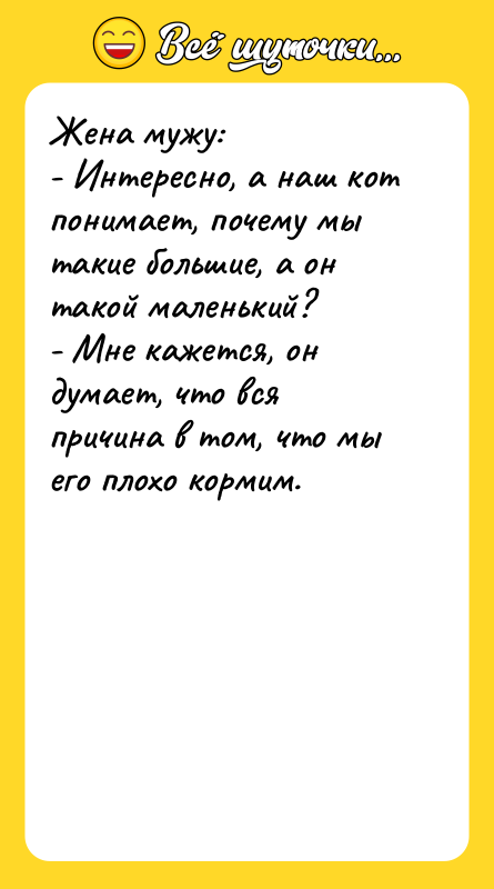 Жена мужу:  - Интересно, а наш кот понимает, почему
