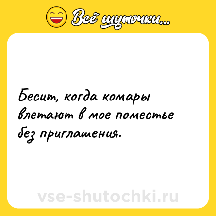 Шутка: Бесит, когда комары влетают в мое поместье без приглашения.
