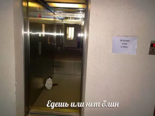 Смешная картинка №655748