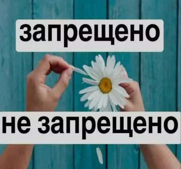 Запрещено или не запрещено?
