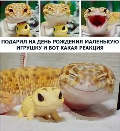 Смешная картинка №282528
