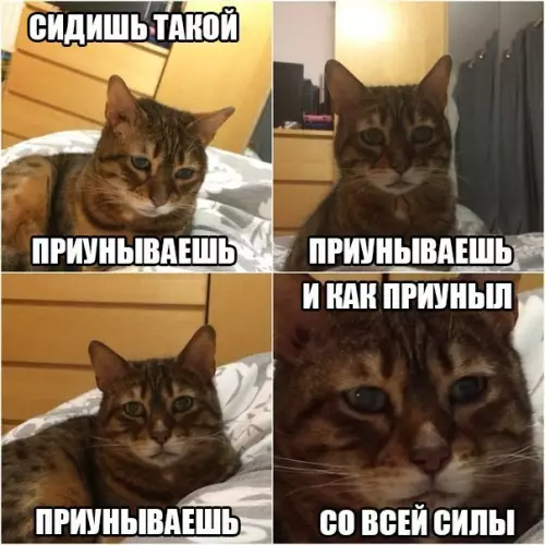 Смешная картинка №365730
