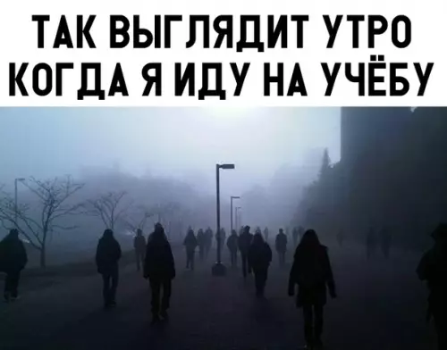 Смешная картинка №320981