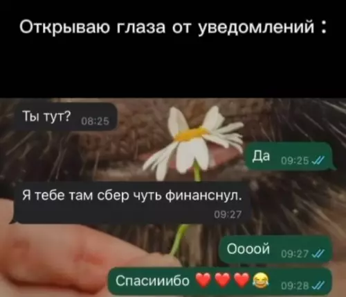Смешная картинка №756559 Ну балует