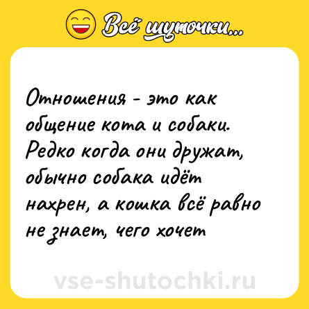 Шутка: Отношения - это как общение кота и собаки. Редко когда они дружат, обычно собака идёт нахрен, а кошка всё равно не знает, чего хочет