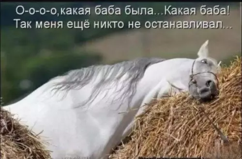 Смешная картинка №695774