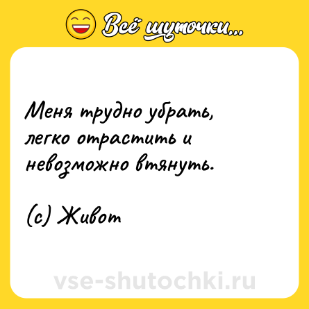 Шутка: Меня трудно убрать, легко отрастить и невозможно втянуть.<br><br>(с) Живот
