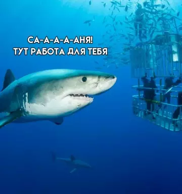 Смешная картинка №779540