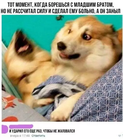 Смешная картинка №291869